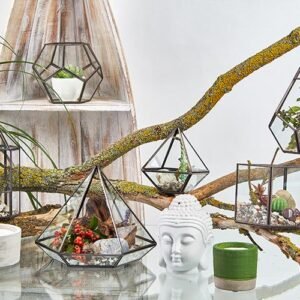 Terrario Geométrico de Vidrio y Latón - Cubo Inclinado - Imagen 5