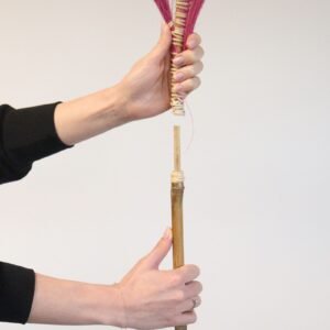 Palmera Coral de Rayung - 1.6m - Imagen 5