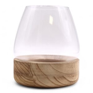 Terrario de Madera de Tung y Campana de Vidrio (17x19cm) - Imagen 2