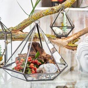 Terrario Geométrico Diamante de Vidrio y Latón (14,5 cm) - Imagen 6