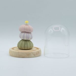 Domo de Cristal Floral Glow - 3 Erizos de Mar LED USB - Imagen 3