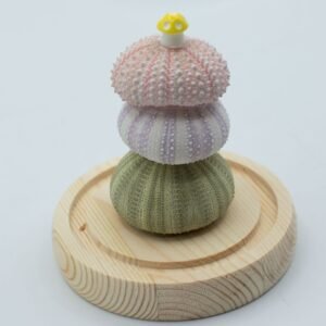 Domo de Cristal Floral Glow - 3 Erizos de Mar LED USB - Imagen 4