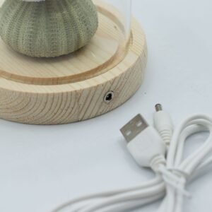 Domo de Cristal Floral Glow - 3 Erizos de Mar LED USB - Imagen 5