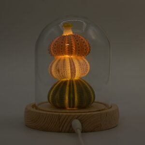 Domo de Cristal Floral Glow - 3 Erizos de Mar LED USB - Imagen 6