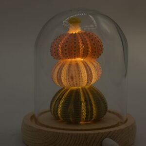 Domo de Cristal Floral Glow - 3 Erizos de Mar LED USB - Imagen 7