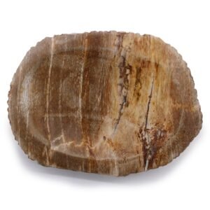 Jabonera Marrón Madera Petrificada - Imagen 2