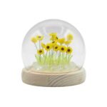Domo de Cristal Floral Glow - 20 Girasoles LED USB