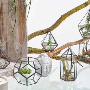 Terrario Geométrico de Vidrio y Latón - Cubo Inclinado - Imagen 4