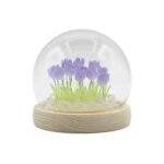 Domo de Cristal Floral Glow - 20 Tulipanes LED USB