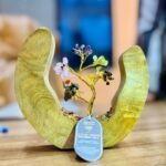 Árbol Siete Chakras: 60 Piedras y Aro de Madera de Mango