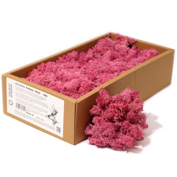 Musgo de Reno Preservado Rosa Vibrante (Caja de 635g)