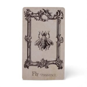 Cartas Oráculo del Grimorio - Mazo de Brujería y Adivinación - Imagen 4