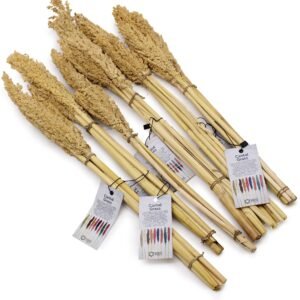 Manojo de Hierba Cantal 50cm - Espigas Secas Color Natural - Imagen 2